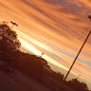 Meet your Posher, Luis